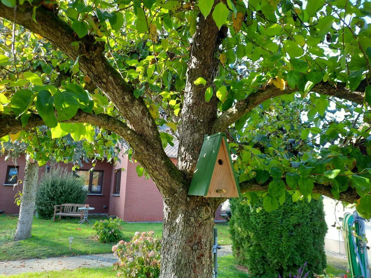 Das Kleine, Gemuetliche Ferienhaus Ludorf Exterior foto